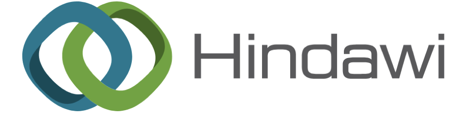 Hindawi Publishing Corporation logo